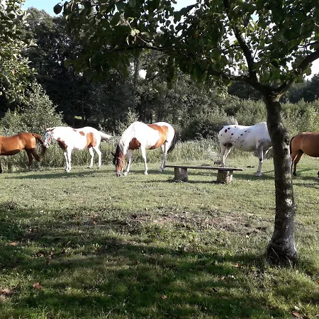 Dolina Podgrabina 公寓 Stanowice